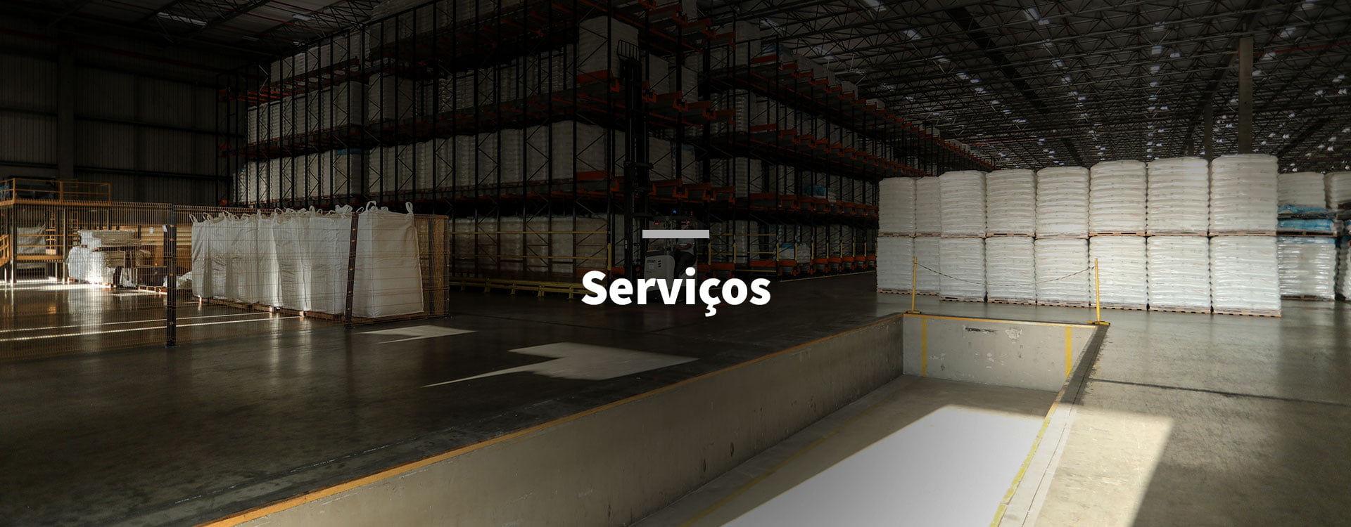 banner-Serviços Serviços